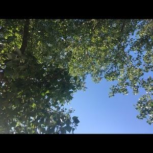 Meet your Posher, Jodi